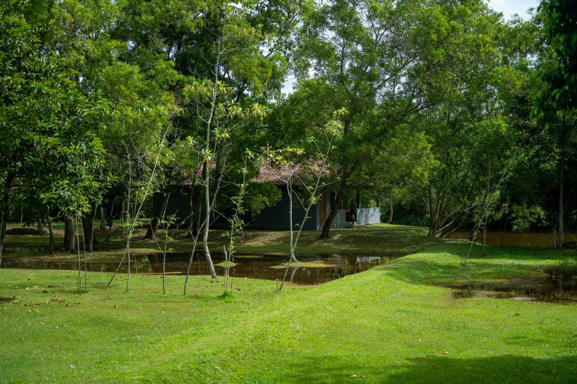 Wirdana Resort & Spa Bussa Eksteriør bilde