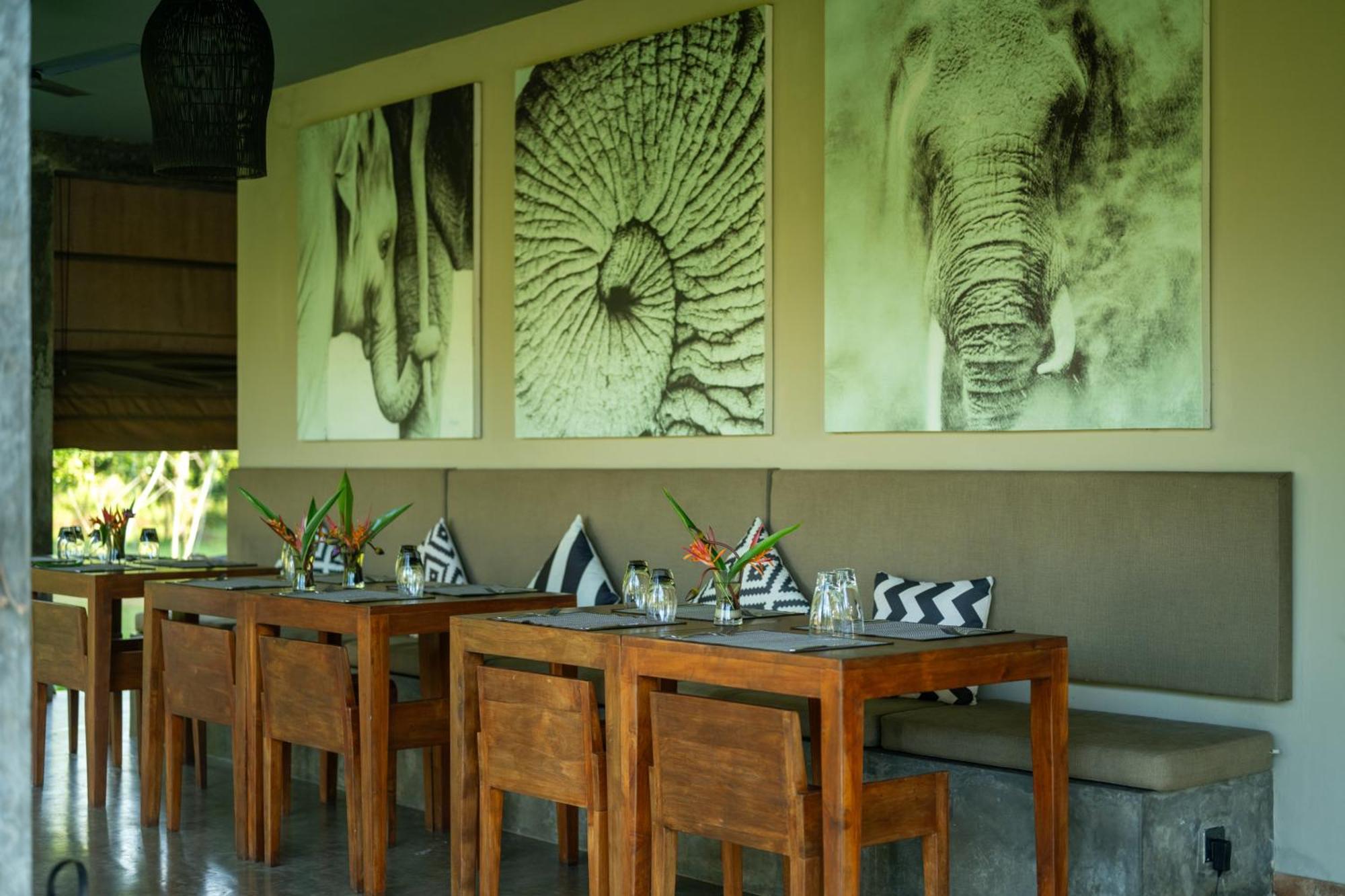 Wirdana Resort & Spa Bussa Eksteriør bilde